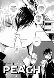 Purehearted Boys - June Manga